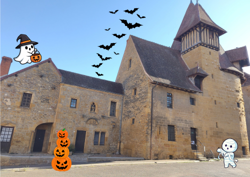 Escape game "M.A.N.I.F Manifestation Animée Non Identifiée Furtive"